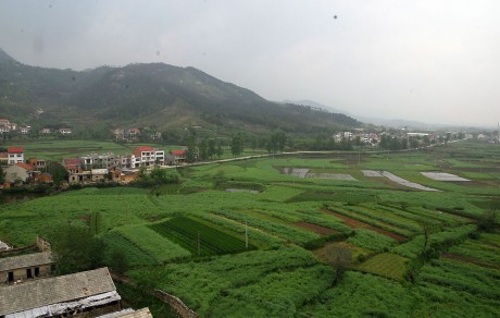 博望區(qū)新市鎮(zhèn)釜山村坑塘復(fù)墾土地承包經(jīng)營權(quán)拍賣公告